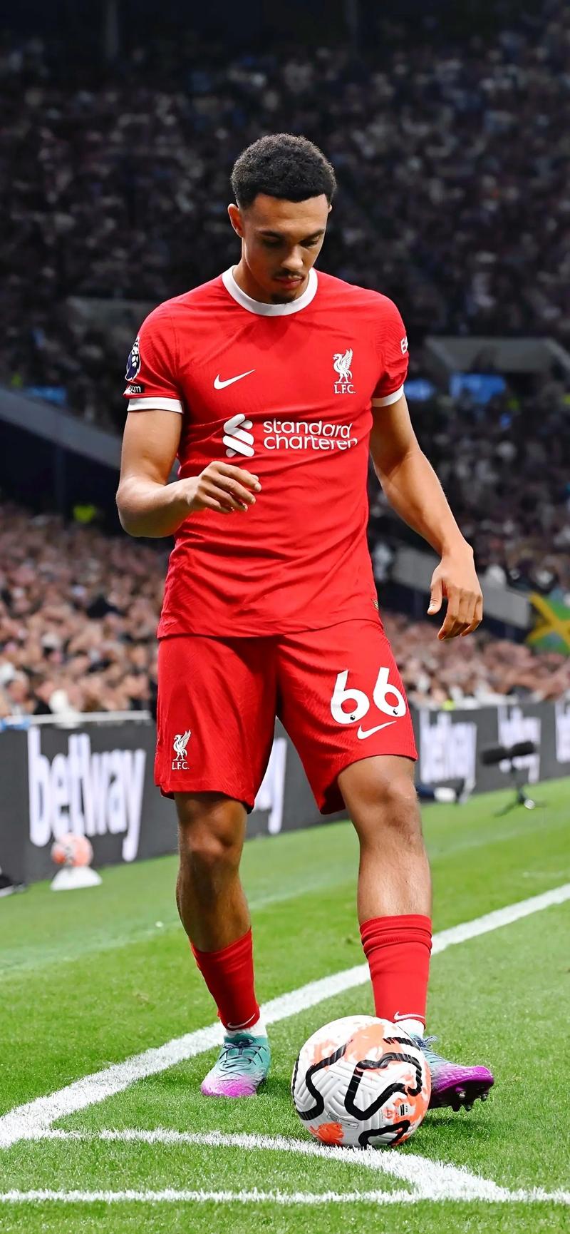 篮网三分命中率全场最高（篮网外线命中率领跑全场）