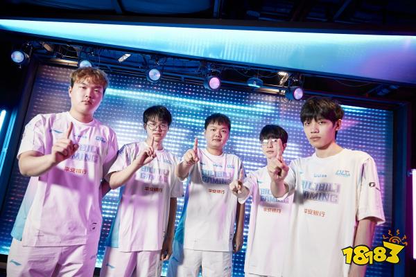 的重要组成 的重要组成